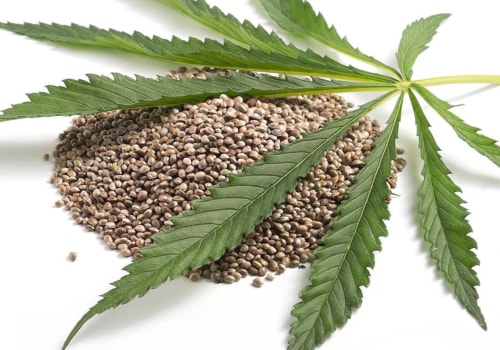Everything You Need to Know About Edible Hemp Parts